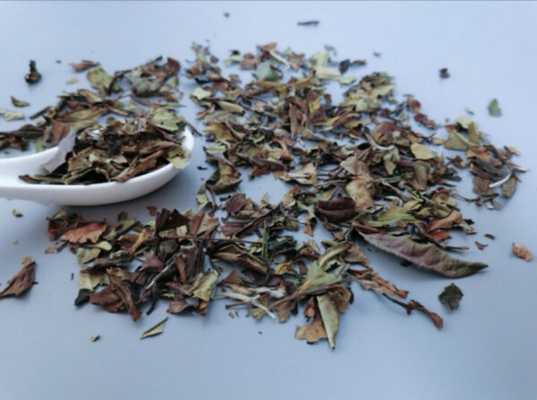 Découvrez ce thé Burstea. C'est un thé blanc de Chine en feuilles entières
