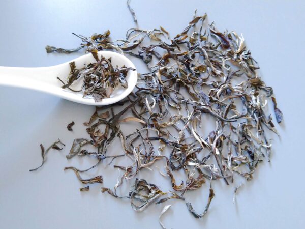 très beau thé rare normand. Un thé puerh du Vietnam